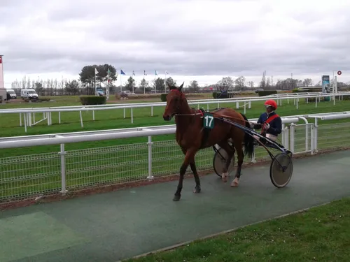 Hippisme : nos préférés pour ce samedi 4 décembre